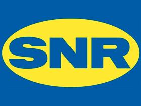 SNR DAMP1 - DAMP1 SNR RODILLOS Y TENSORES DISTR